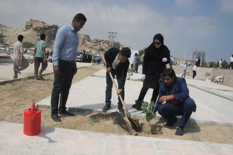 آئین درختکاری در قشم برگزار شد