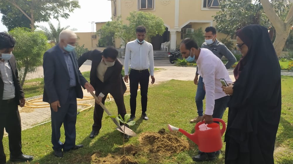 غرس نهال مثمر به مناسبت هفته منابع طبیعی و درختکاری در شورای اسلامی شهر قشم
