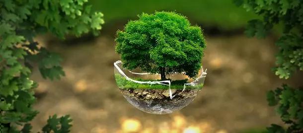 فراخوان سیزدهمین جایزه ملی محیط زیست