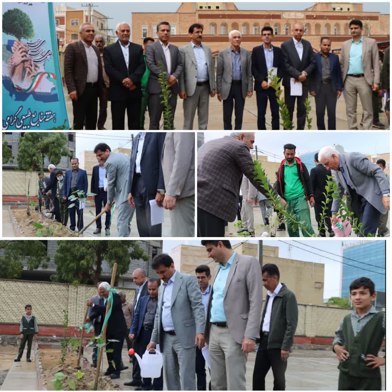 غرس نهال توسط شهردار و شورای شهر قشم