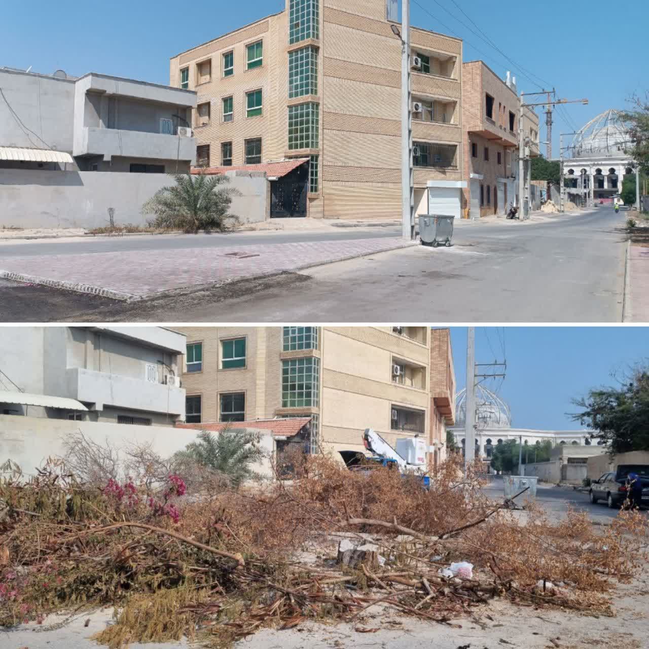 بهسازی محیط هایی شهری توسط خدمات شهری شهرداری قشم