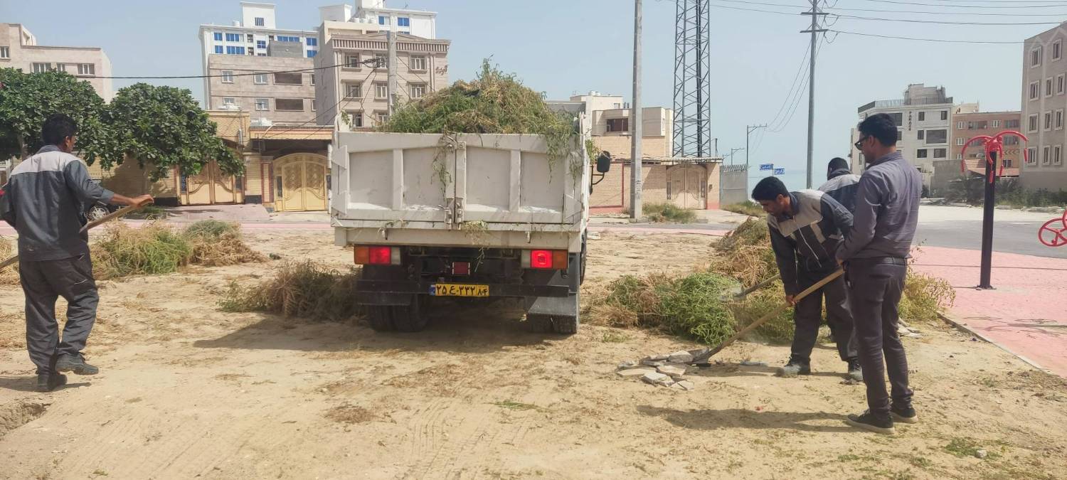 هرس درختان و جمع‌آوری شاخ و برگ در بوستان‌های قشم